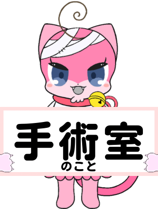カテゴリーイメージ